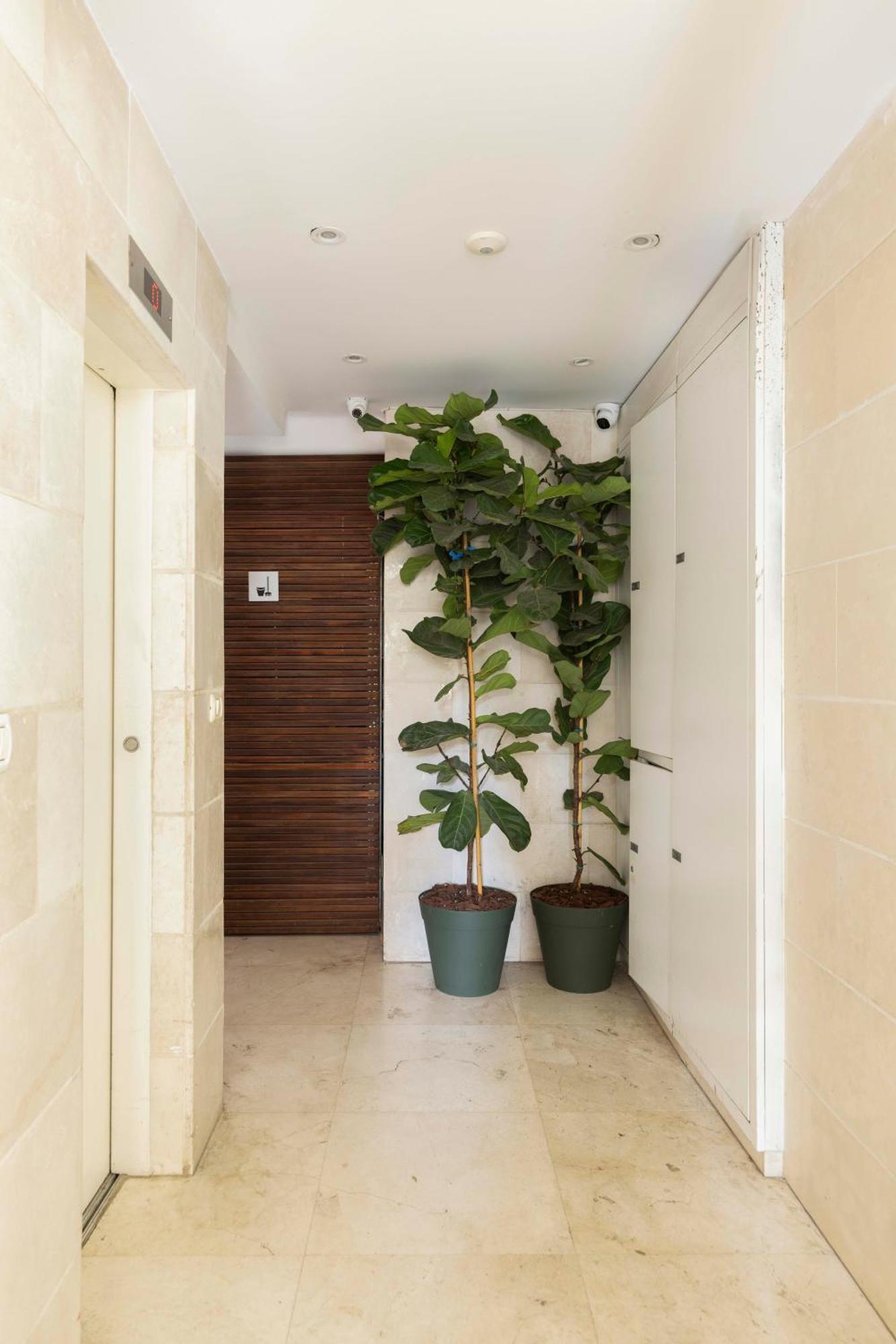 The Beach Life Complex - By Localz Group Tel Aviv-Jaffa Exterior foto